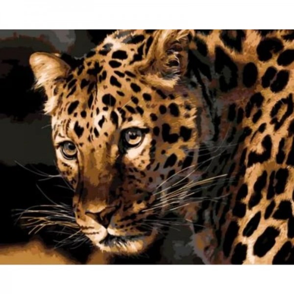Animal Leopard Diy Paint By Numbers Kits