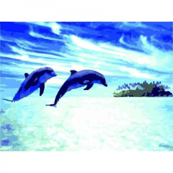 Dolphin Diy Paint By Numbers Kits